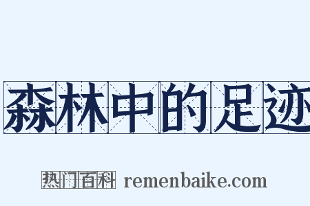 森林中的足迹是什么意思的图片